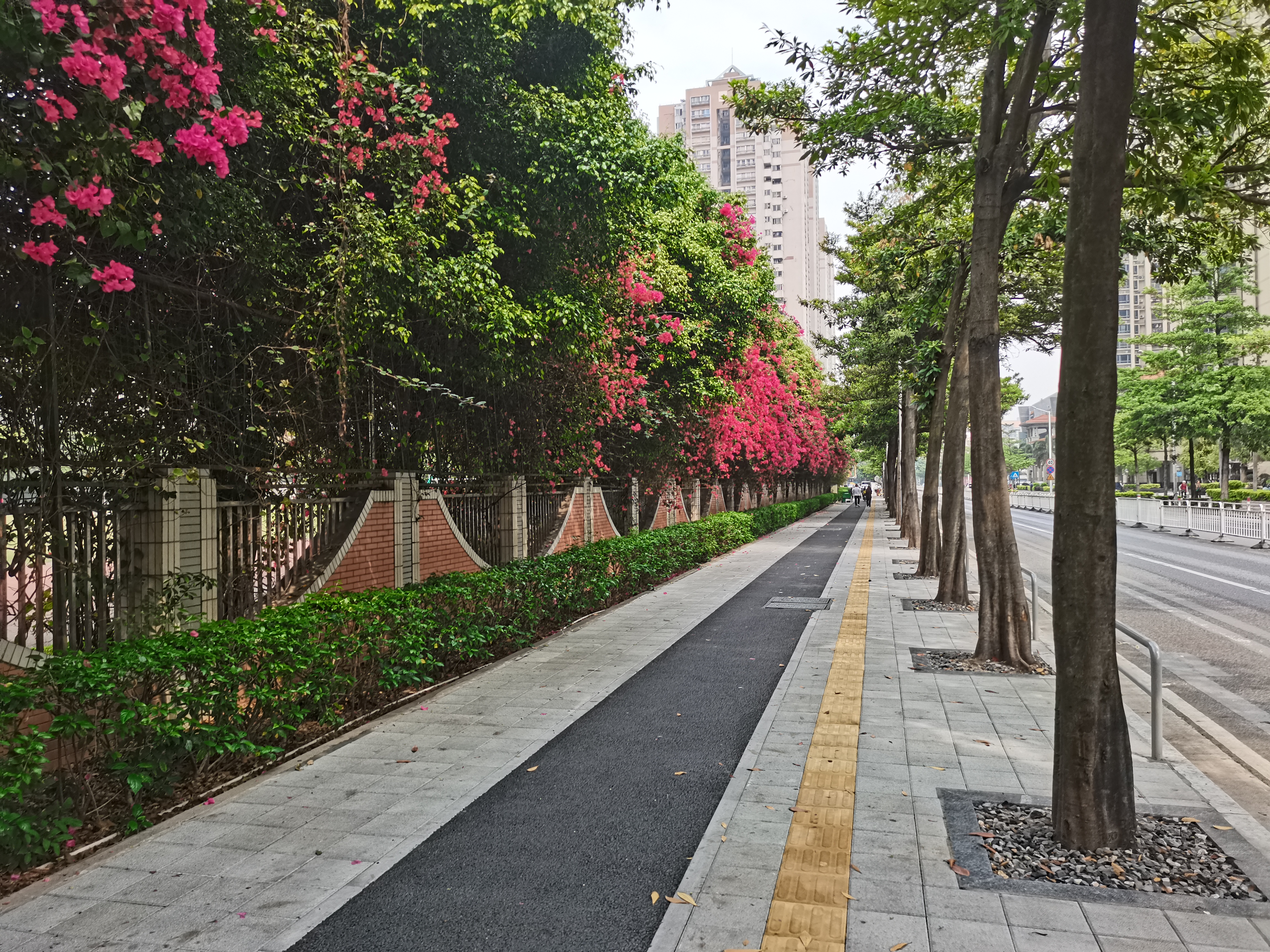 我司荣获2020年度佛山市市政基础设施优良样板工